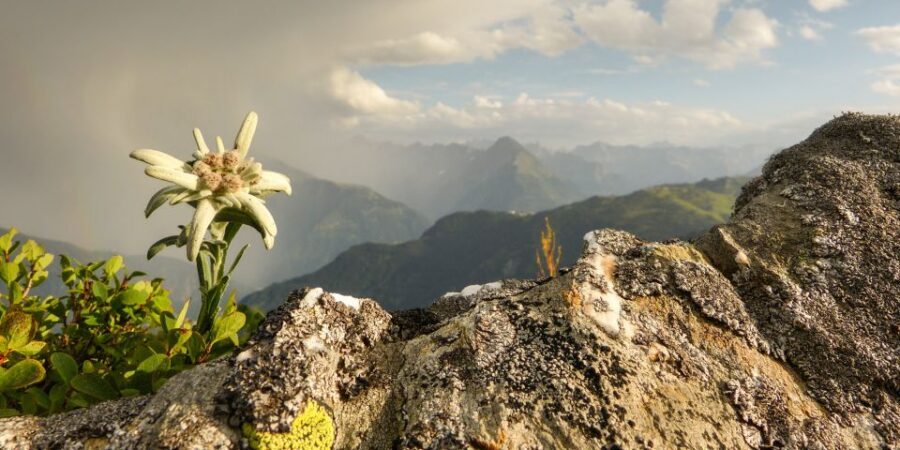 The Hills Are Alive Private "Do-Re-Mi" Tour - Werfen and the Sound of Music trail panorama stop