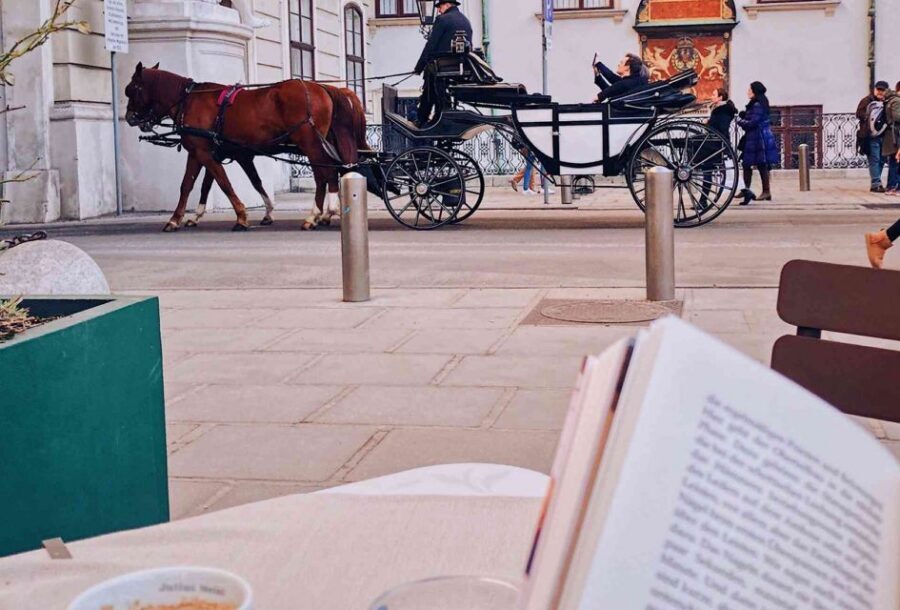 Vienna: 30-Minute Fiaker Ride in the Old Town - The Route Through Hofburg and the Historic Government Core