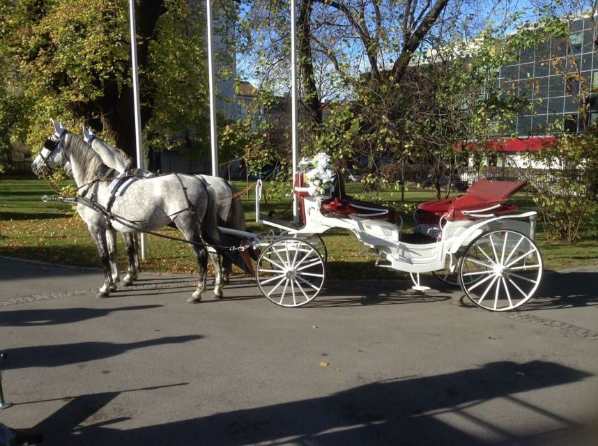 Vienna: 30-Minute Fiaker Ride in the Old Town - Passing Vienna’s Parliament and Town Hall Square