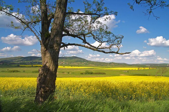 Vienna-Budapest One-Way Sightseeing Transfer - A Vienna-to-Budapest Transfer That Feels Like Sightseeing, Not Commuting