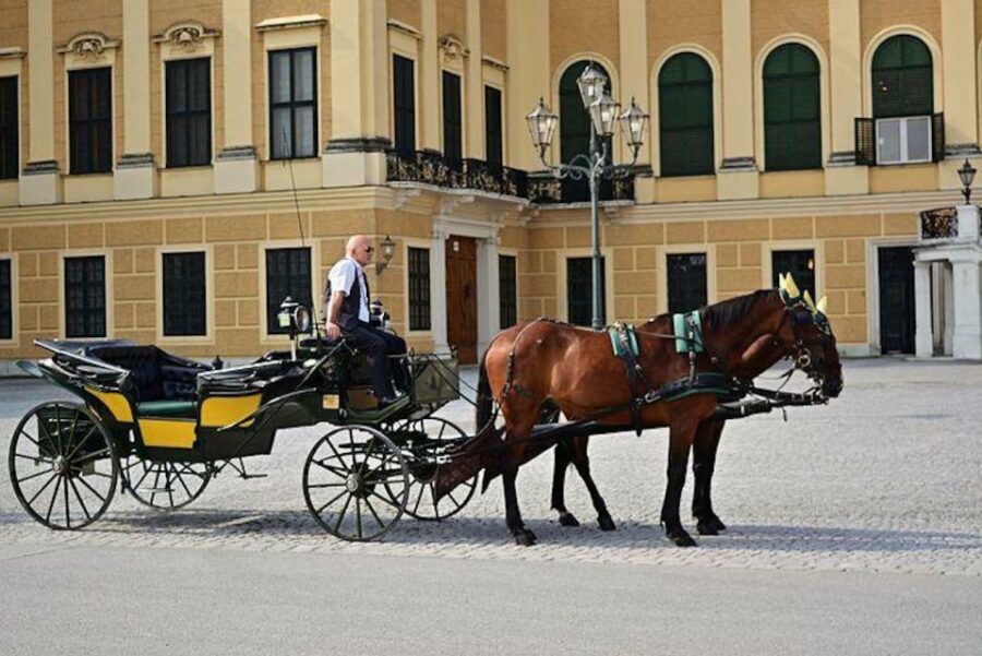 Vienna: Carriage Ride Through Schönbrunn Palace Gardens - Key Things You’ll Notice on This Schönbrunn Carriage Ride