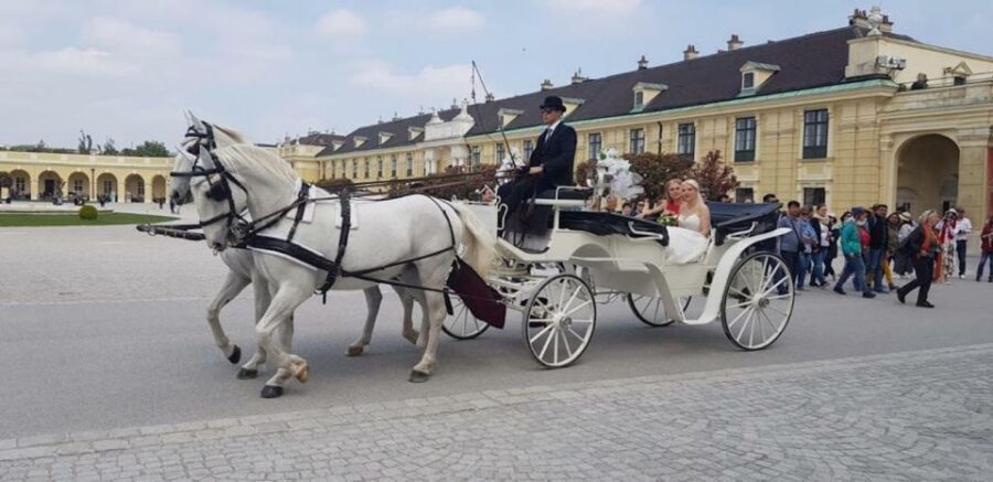 Vienna: Carriage Ride Through Schönbrunn Palace Gardens - From the Palace Steps Into the Gardens’ Main Rooms