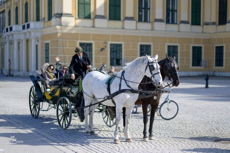 Vienna: Carriage Ride Through Schönbrunn Palace Gardens - The Fiaker Guide: Stories You Can Actually Use