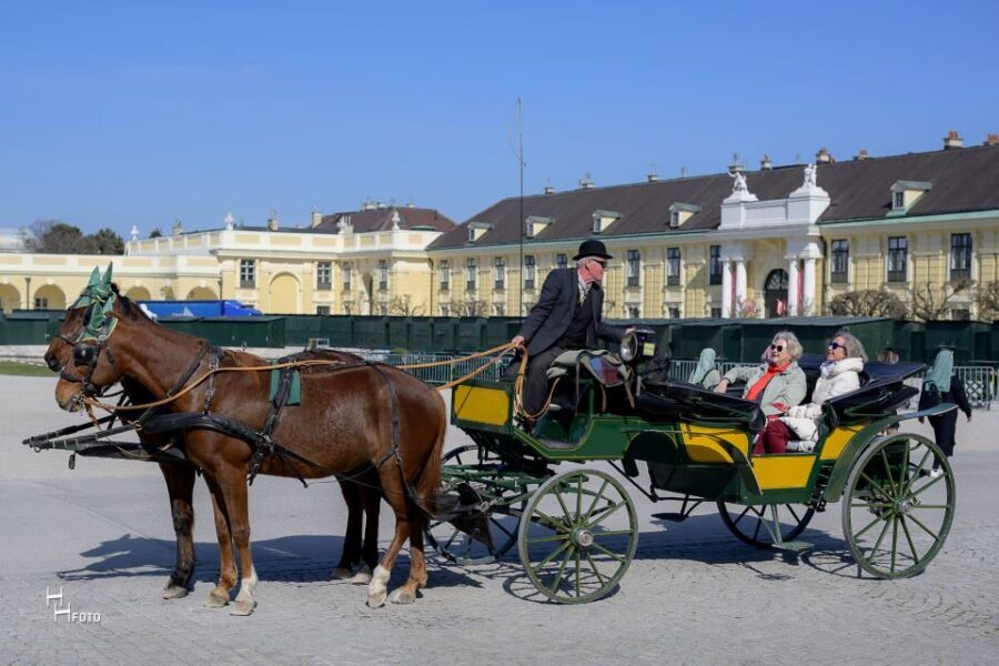 Vienna: Carriage Ride Through Schönbrunn Palace Gardens - Private Group Value: Better Than a Big Bus, Less Effort Than DIY