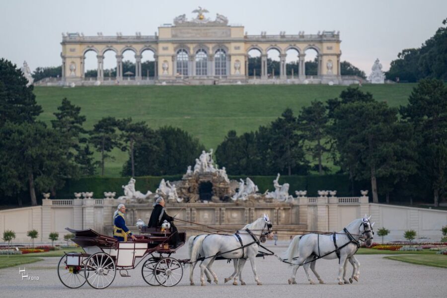 Vienna: Carriage Ride Through Schönbrunn Palace Gardens - What You Get Included: Simple and Focused