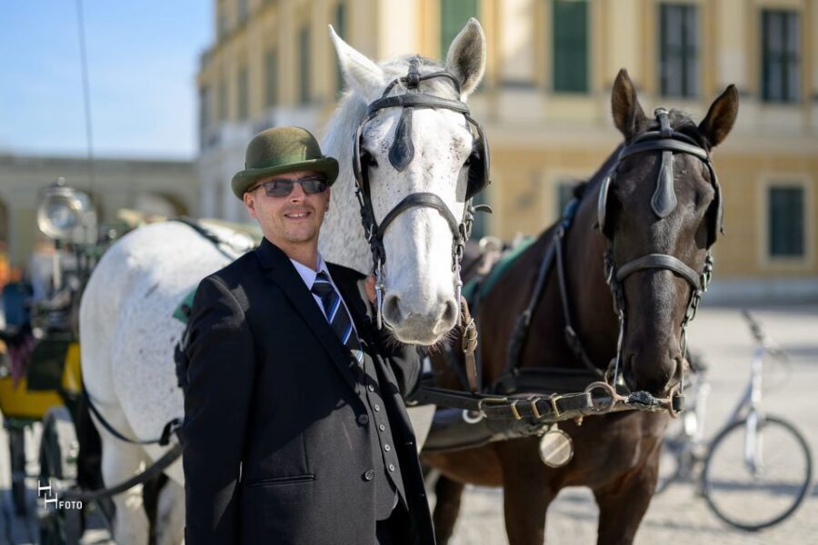 Vienna: Carriage Ride Through Schönbrunn Palace Gardens - Price Check: Is $108 Per Group Worth It?