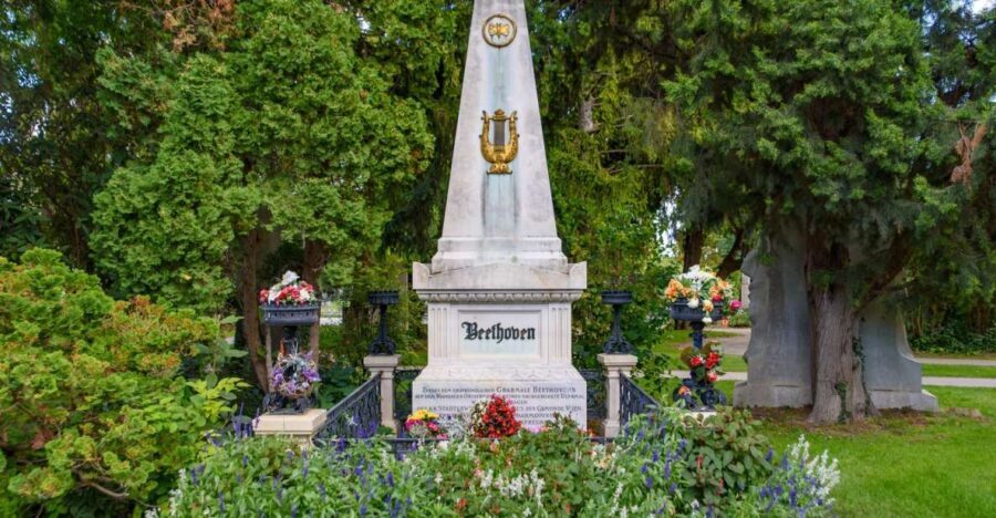 Vienna Central Cemetery Walking Tour with Transfers - What to pack and how to pace yourself