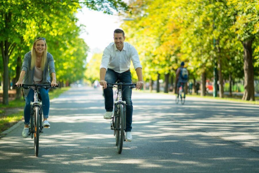Vienna: City Highlights Guided Bike Tour - Pace, bike condition, and group size in real life