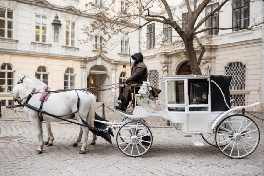 Vienna: Culinary Horse-Drawn Carriage Experience - The storytelling element: driver, guide, and the butler touch