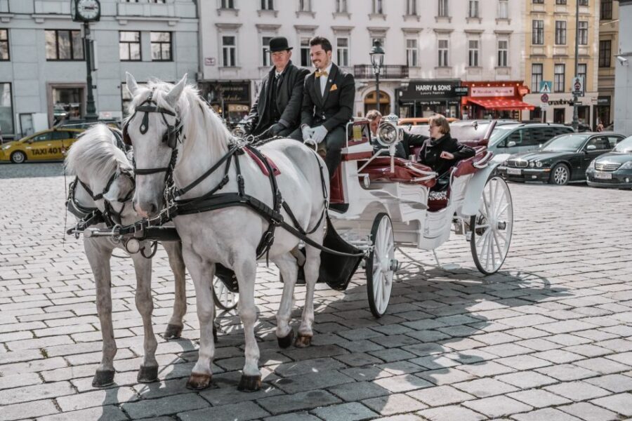 Vienna: Culinary Horse-Drawn Carriage Experience - What sights you’ll actually get to see (and how to look at them)