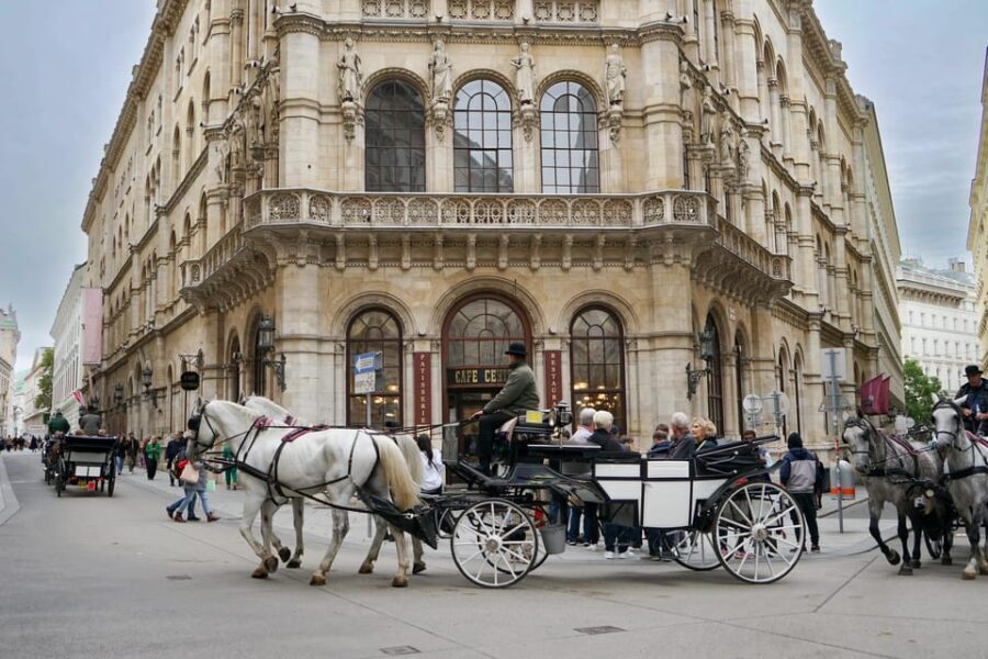 Vienna: Guided Walking Tour of City Highlights & Hidden Gems - Ending at St. Stephen’s Cathedral: the best payoff for photos and last-day plans