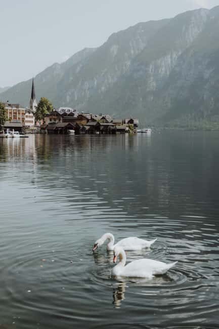 Vienna: Hallstatt Guided Tour with Hotel Pickup & Drop-off - Free time in Hallstatt: how to use your 2 hours well