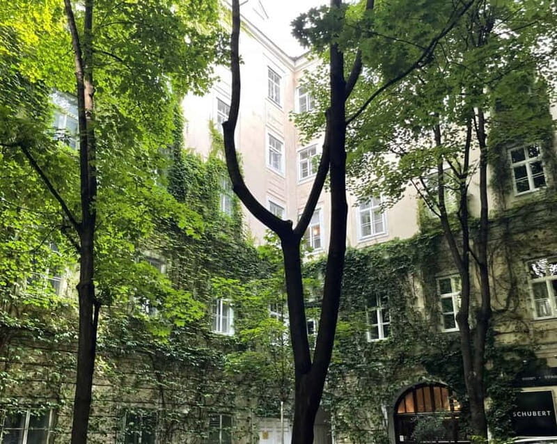 Vienna: Hidden courtyards Guided walking tour - FAQ