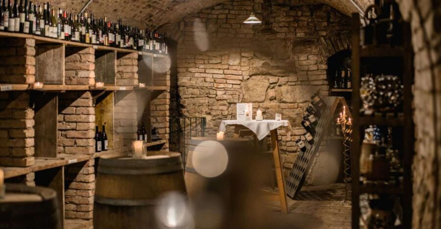 Vienna: Hidden Wine Cellars Tasting Experience - Vienna’s Wine Story Starts Below Stephansplatz