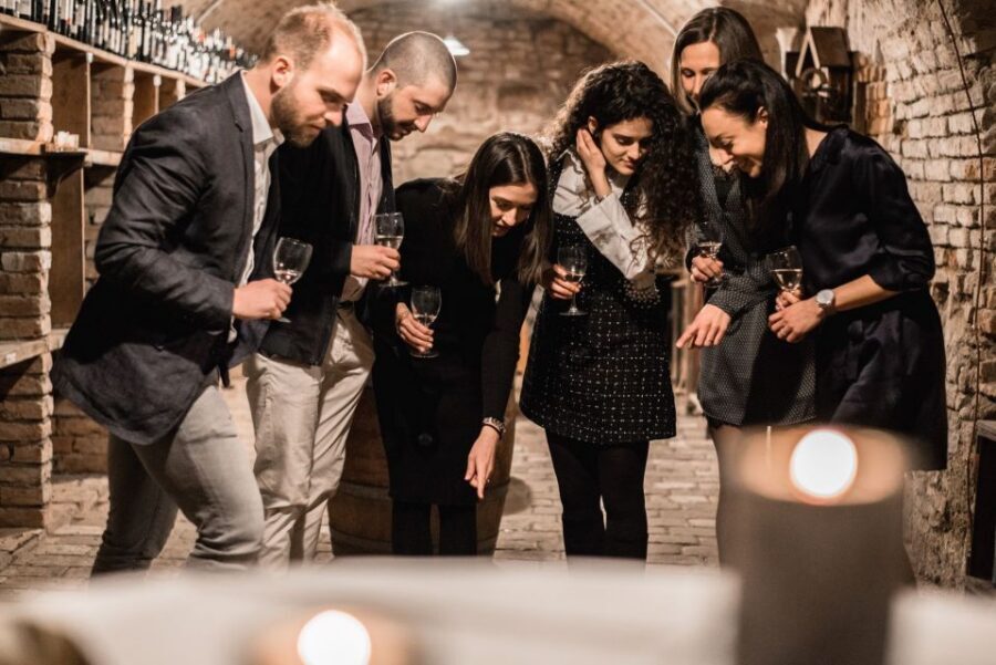 Vienna: Hidden Wine Cellars Tasting Experience - How the Guide Works in English and German