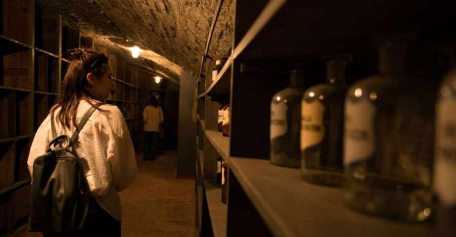 Vienna: Historical Pharmacy Cellar Guided Tour - Key Takeaways: What Makes This Underground Pharmacy Tour Special