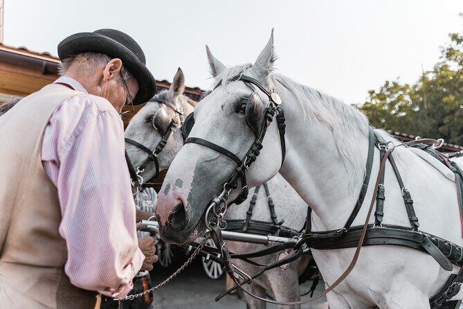 Vienna Horse-drawn Carriage Guided Tour - Price and Value: Is $39.16 Worth It?
