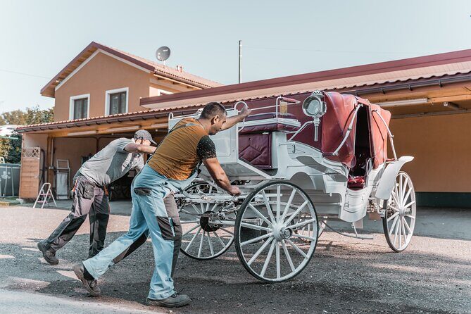 Vienna Horse-drawn Carriage Guided Tour - Family-Friendly Details That Matter in Real Life