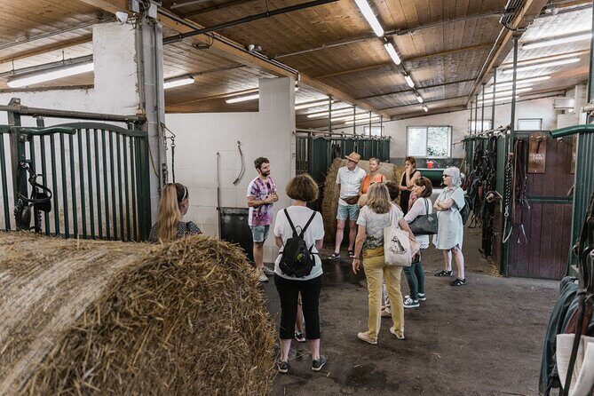 Vienna Horse-drawn Carriage Guided Tour - Logistics: How to Time the Rest of Your Day