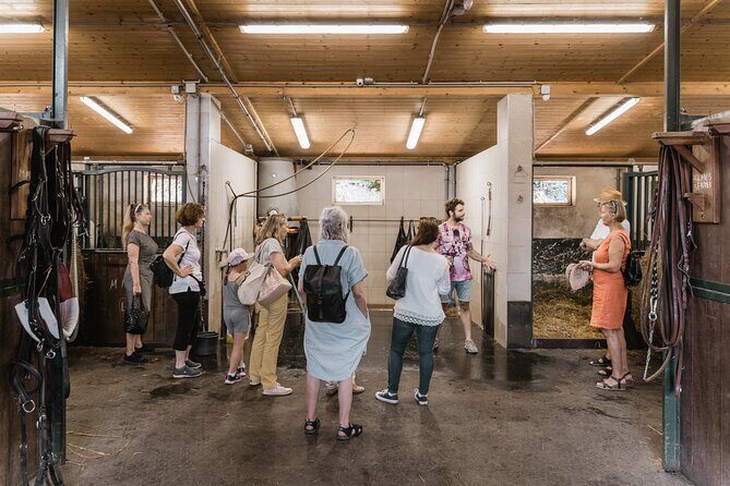 Vienna Horse-drawn Carriage Guided Tour - The Stables Visit: Horses, Harnessing, and Coachman Daily Life