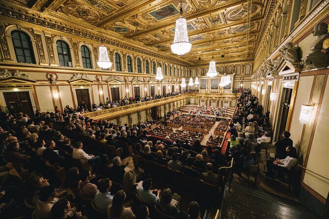 Vienna Mozart VIP Package: Concert, Dinner and Carriage Ride - Practical tips so your night feels flawless