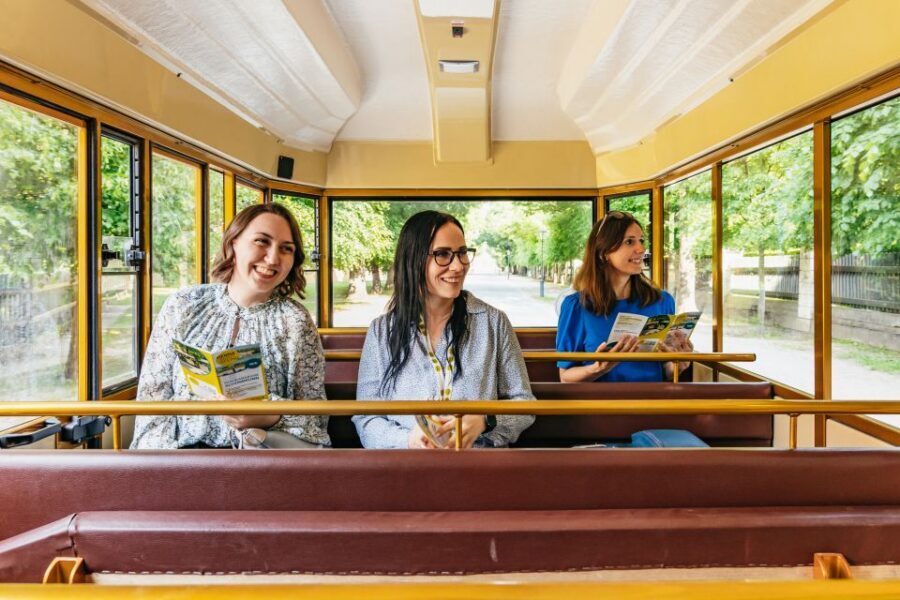 Vienna: Panorama Train Tickets to explore Schönbrunn Palace - Accessibility and reduced walking: a real benefit, not a marketing line