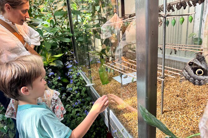 Vienna Private Family Tour: City Highlights, Museum and Cake - Hundertwasser House and the Prater Finale (Plus Lunch Planning)
