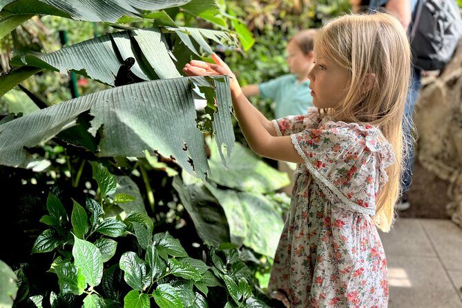Vienna Private Family Tour: City Highlights, Museum and Cake - Hofburg Palace and Sisi Games That Actually Work for Kids