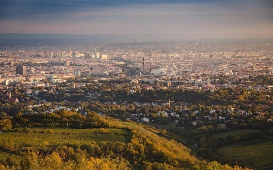 Vienna: Private Half-Day Sightseeing Tour - City Hall and Parliament: The Best Part Is the Easy Orientation