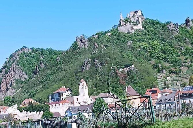 Vienna: Private Tour Wachau Dürnstein and Melk - Dürnstein town time: castle ruins, church stops, and wine tasting