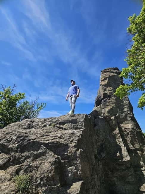 Vienna: Private Wachau tour to Dürnstein and Melk - Wine tasting in the Wachau: small stop, big impact