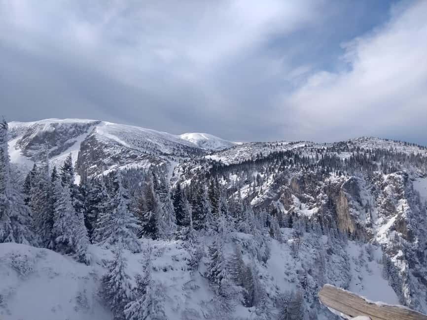 Vienna: Relaxed Alpine Snowshoe Experience Guide & Transfer - Key highlights to know before you go
