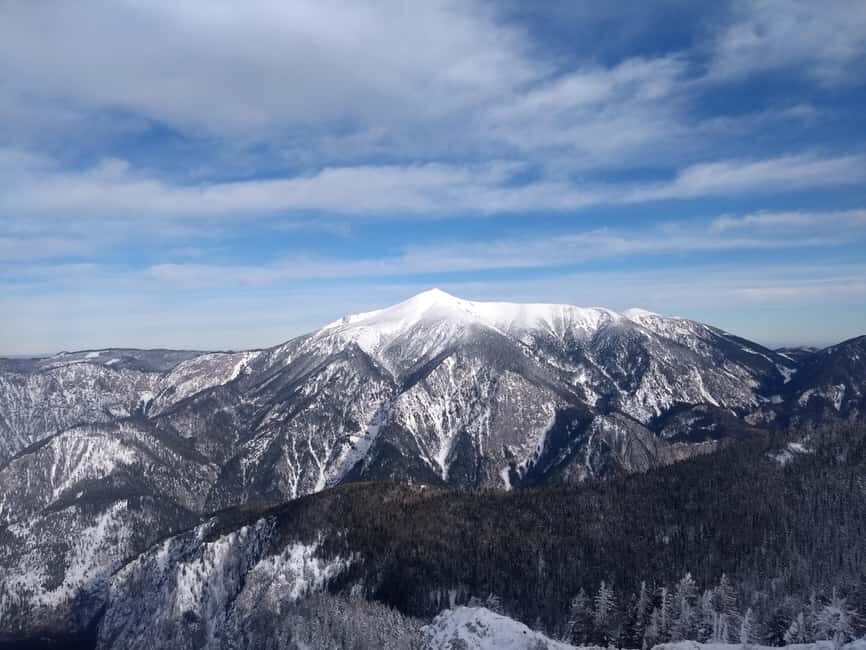 Vienna: Relaxed Alpine Snowshoe Experience Guide & Transfer - A calm alpine day from Vienna: what $111 buys you