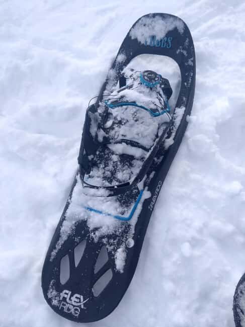 Vienna: Relaxed Alpine Snowshoe Experience Guide & Transfer - Gear that matters: boots, rentals, and what to pack