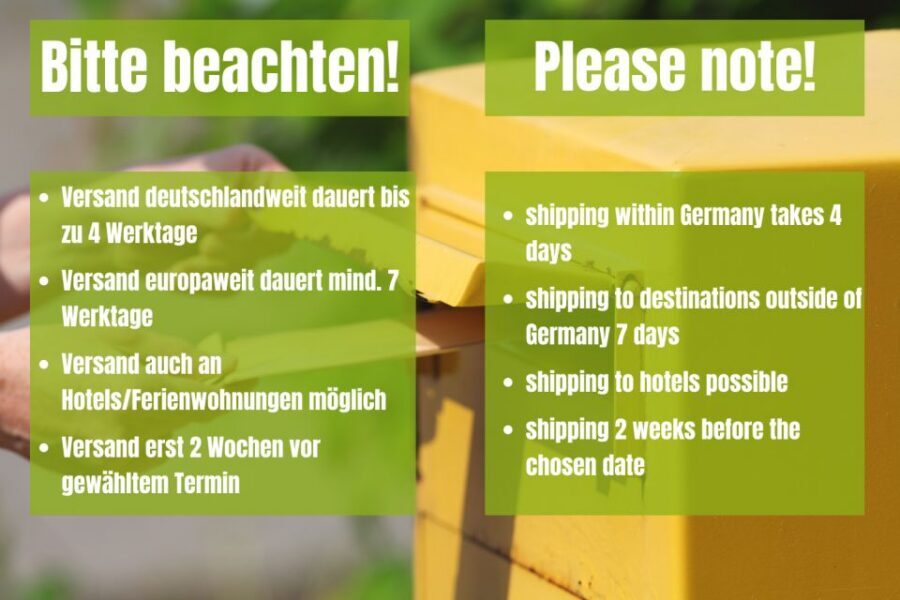 Vienna: Scavenger Hunt Self-Guided Tour - The puzzle box: 16 envelopes, plus an emergency exit