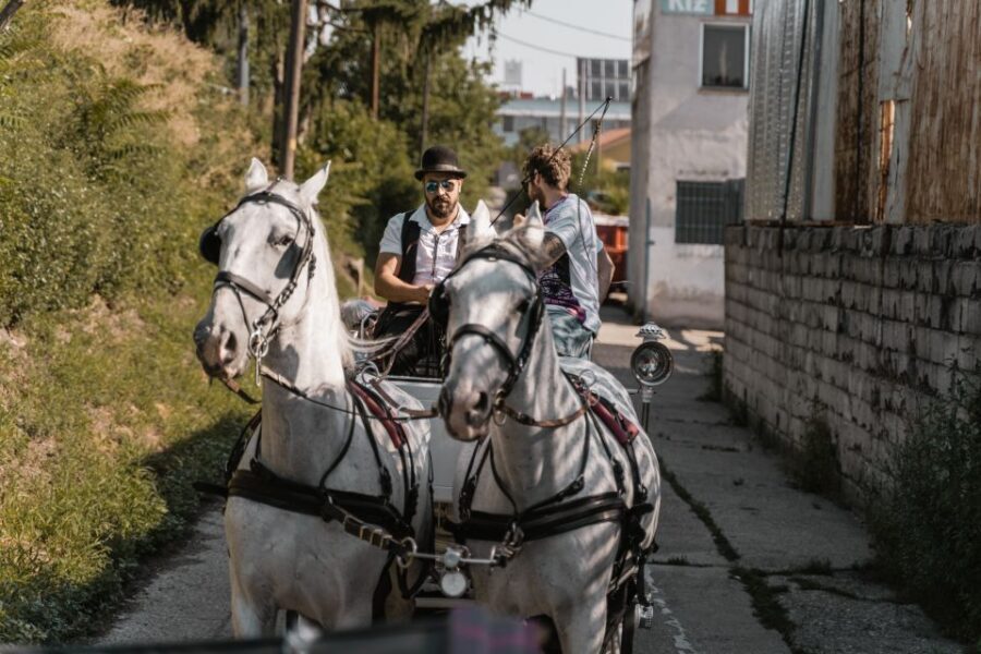 Vienna: Secrets of the Fiaker & Horse-Drawn Carriage Ride - Who Should Book This Fiaker Experience?