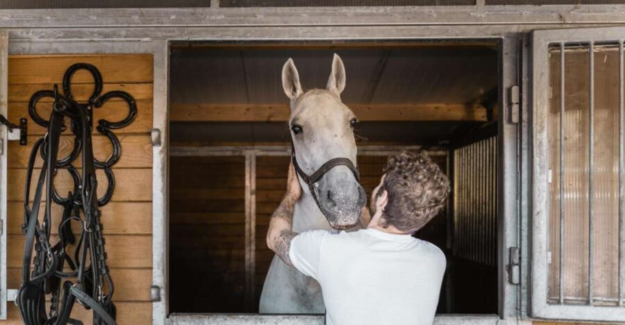 Vienna: Secrets of the Fiaker & Horse-Drawn Carriage Ride - Horse Welfare You Can See, Not Just Hear