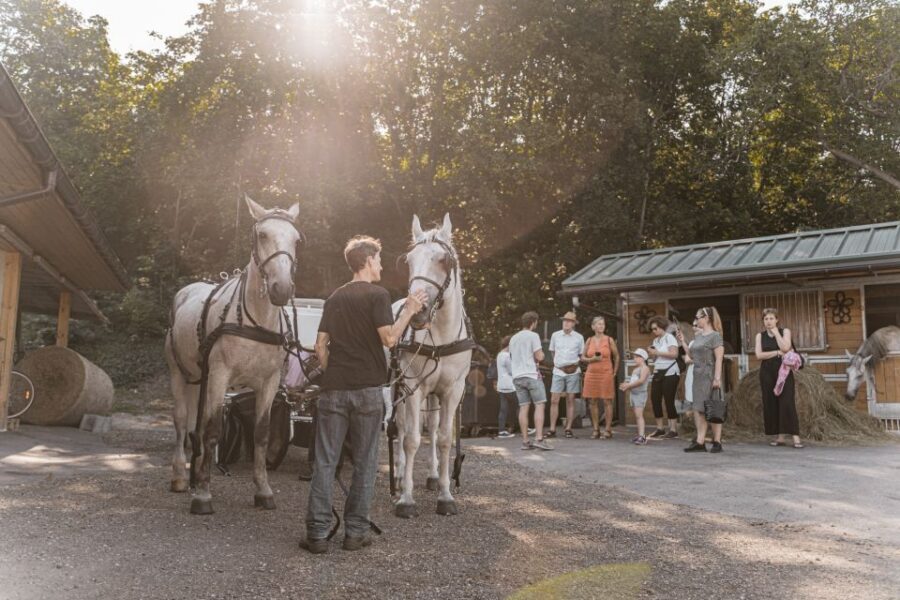 Vienna: Secrets of the Fiaker & Horse-Drawn Carriage Ride - Falco Breakfast Option at Schwarzenbergplatz: A Practical Add-On