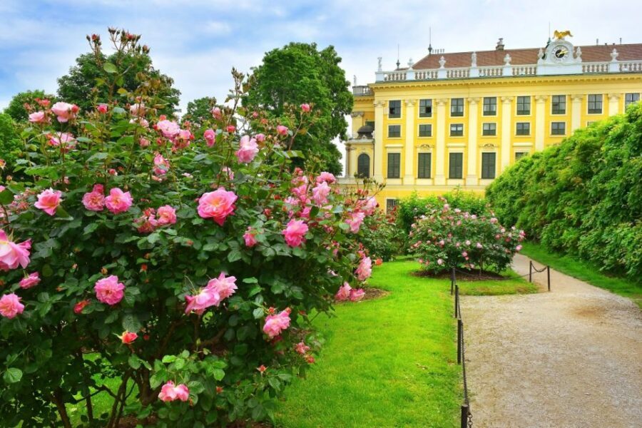Vienna: Skip-the-Line Schonbrunn Palace Private Tour - Your private guide: the difference between seeing and learning