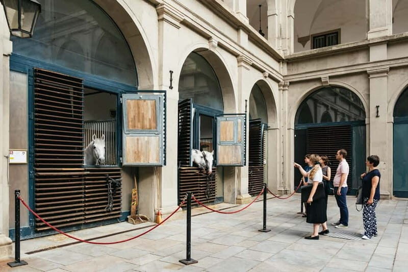 Vienna: Spanish Riding School Guided Architectural Tour - The winter riding school: Austrian Late Baroque, in person