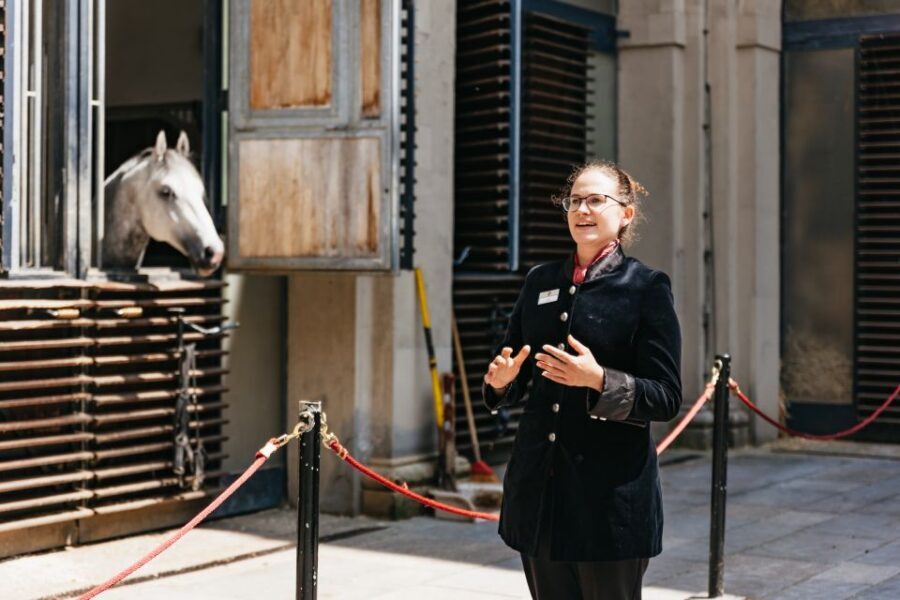 Vienna Spanish Riding School Guided Tour - Stallburg Courtyard: Vienna’s Renaissance Horse Heart