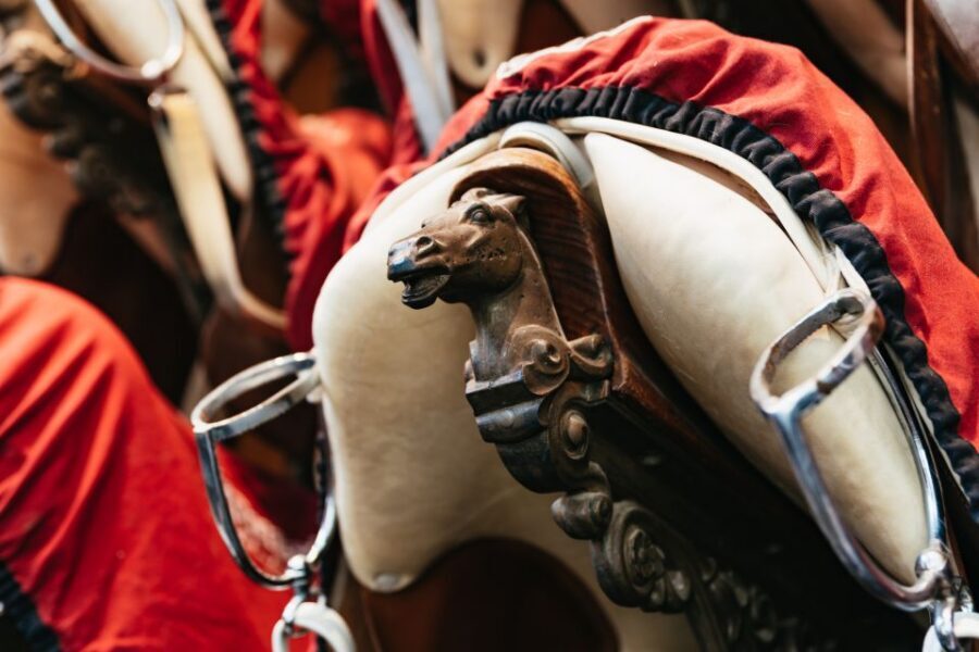 Vienna Spanish Riding School Guided Tour - Tack Room and Arena Time: Where the Craft Becomes Visible