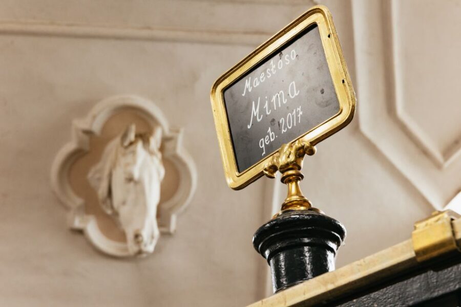 Vienna Spanish Riding School Guided Tour - Guides in English or German: What Makes the Tour Feel Worth It