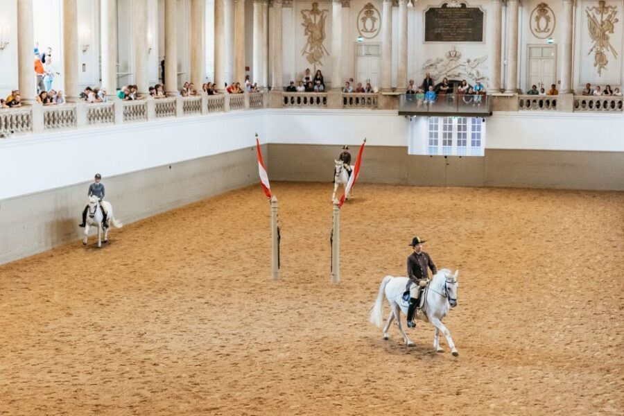Vienna: Spanish Riding School Training - Key Points to Know Before You Go