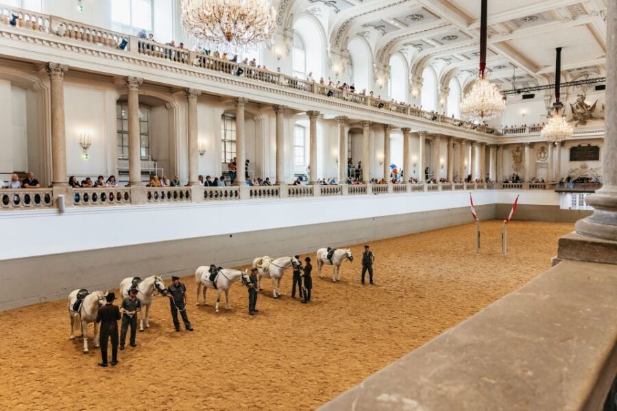 Vienna: Spanish Riding School Training - Best Seats and Viewing Angles Inside the Arena