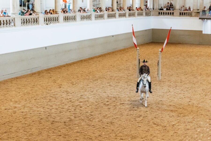 Vienna: Spanish Riding School Training - Price and Value: Is $20 Worth It Without the Full Show?