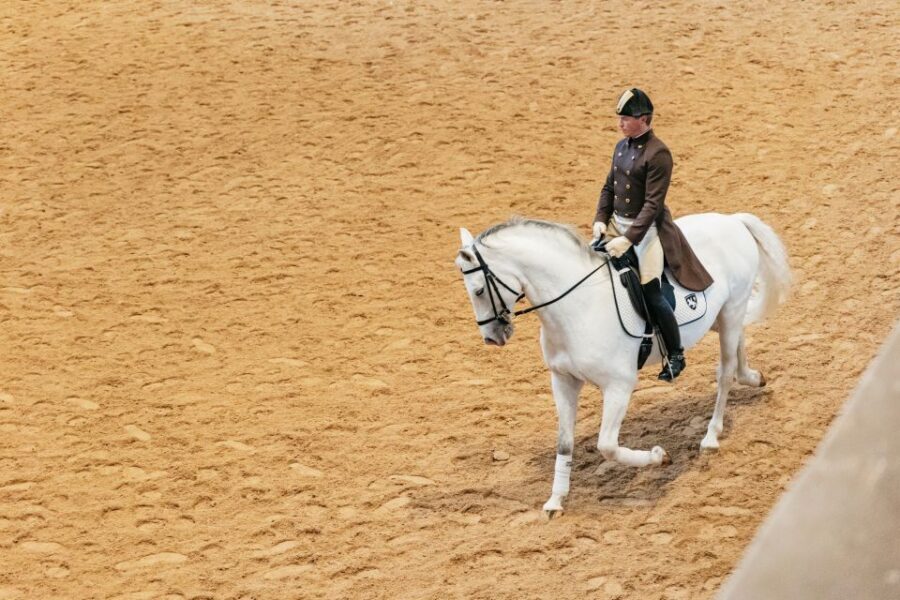 Vienna: Spanish Riding School Training - Tickets, Entry, and What to Do When Plans Change