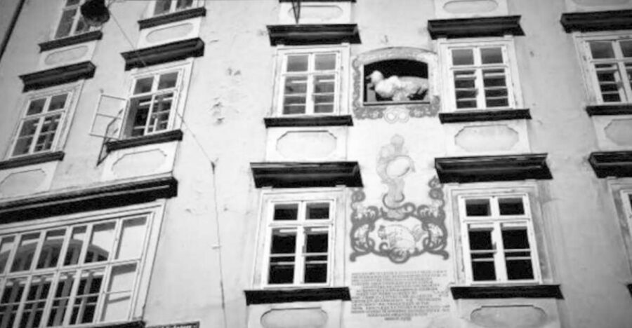 Vienna: Spooky Ghost Tour in English - St. Stephen’s Cathedral Finale: The Legend of What Lies Beneath