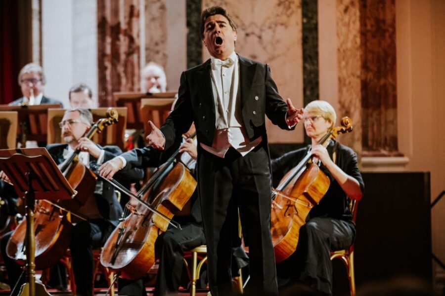 Vienna: Strauss and Mozart Concert at Hofburg Palace - Practical details that affect your night