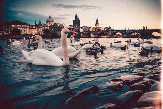 Vienna to Prague - Private Transfer with 2 hours of Sightseeing - Vehicle Comfort and Luggage Space: Small Details That Make or Break the Day